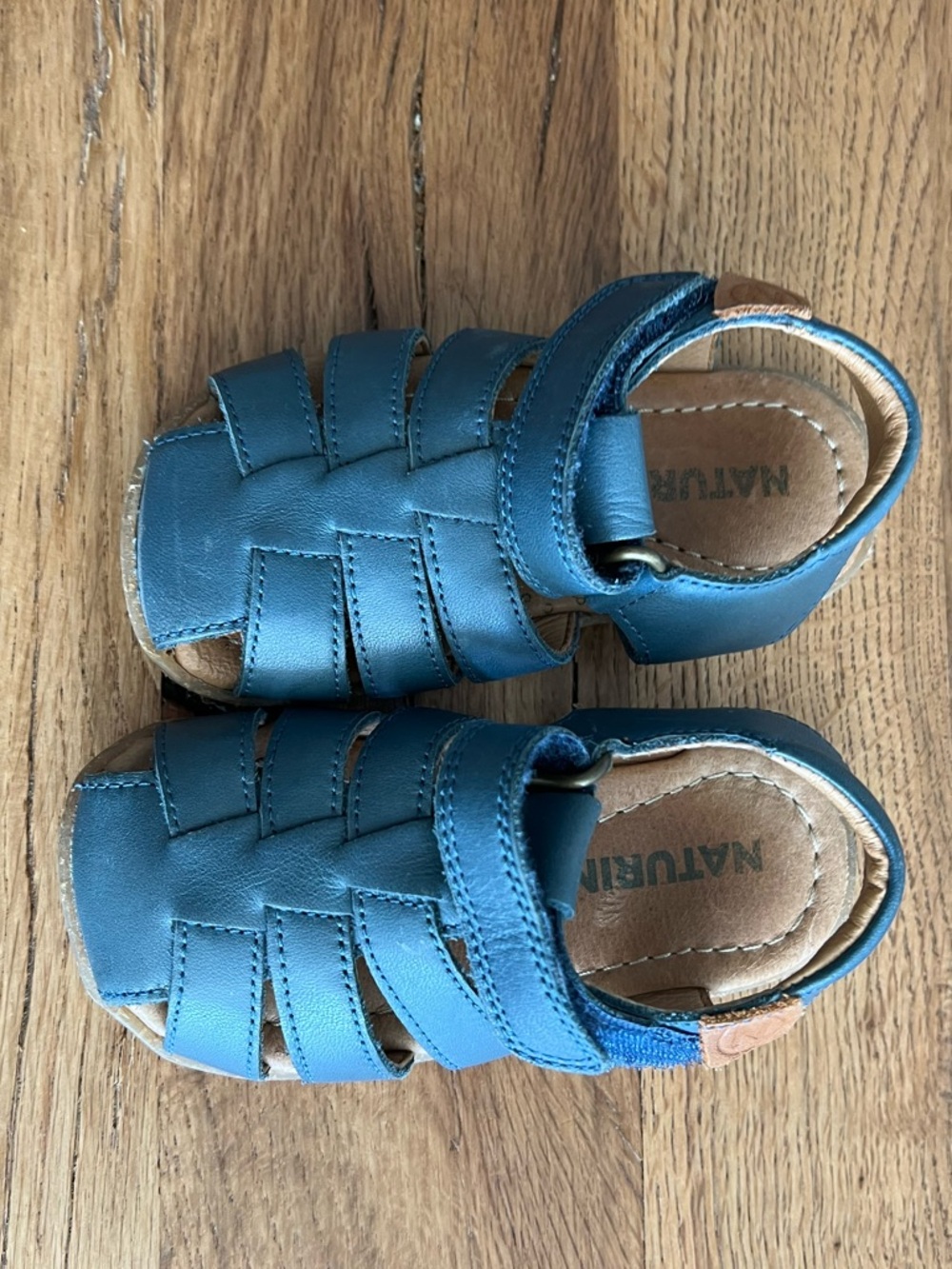 Naturino Teal Blue Leather Fisherman Sandals for Kids